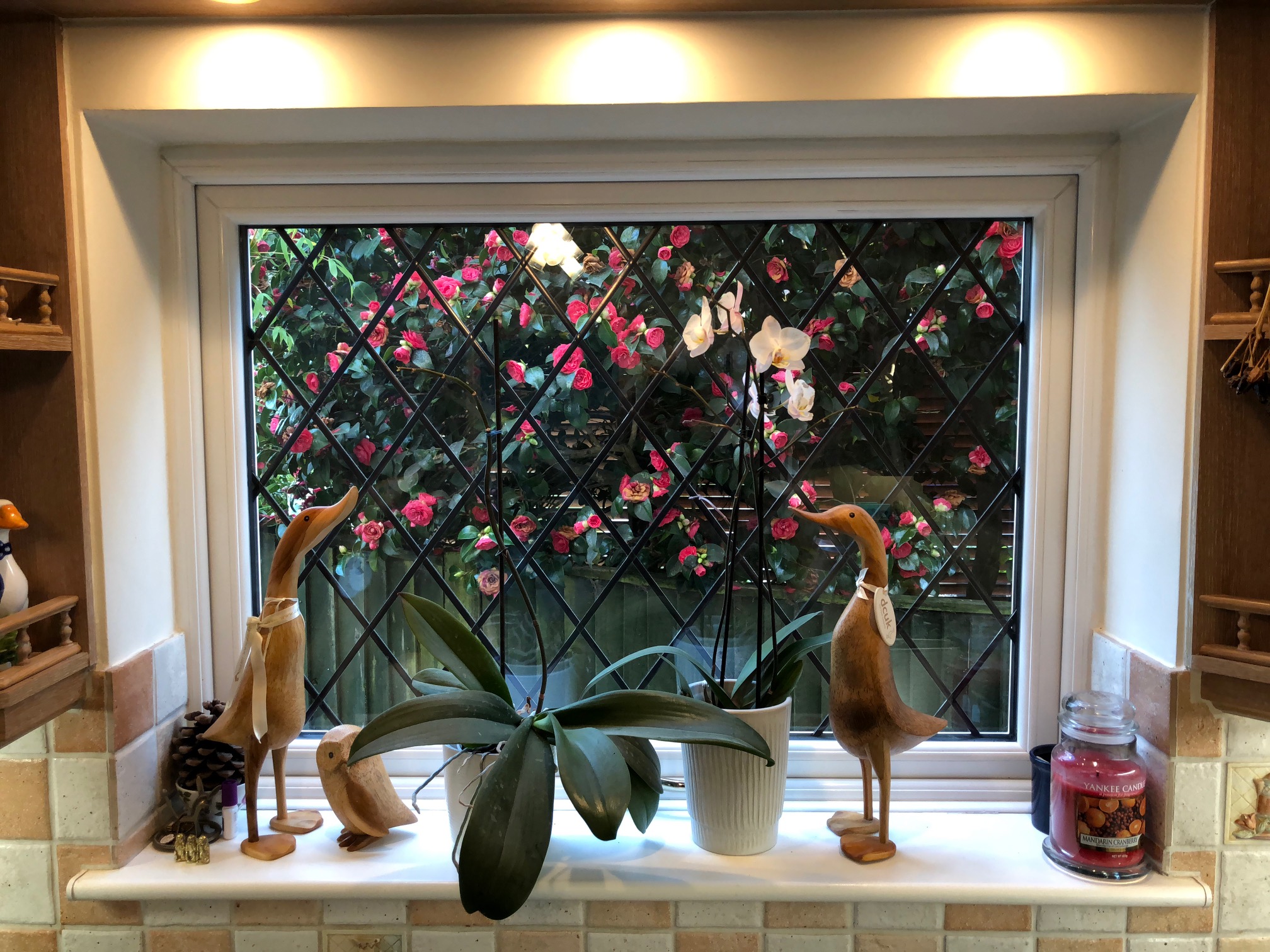 WINDOW